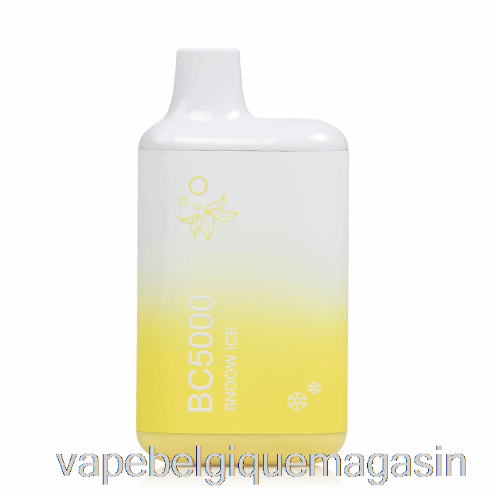 Vape Shop Bruxelles Bc5000 Glace à Neige Jetable